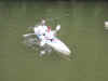 Dinant 05.jpg (68880 octets)